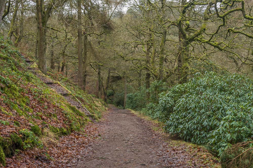 Goyt Valley Goyt Valley